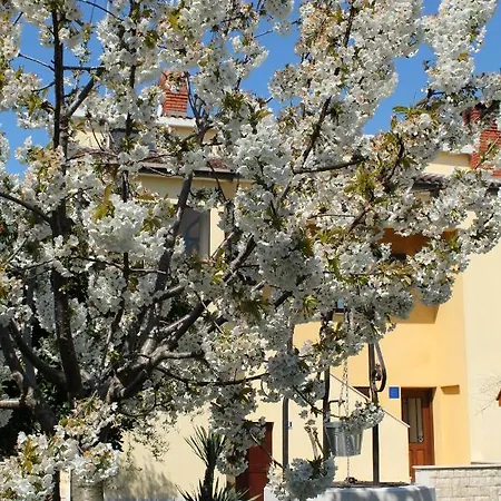 Dekovic Poreč